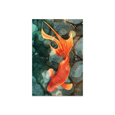 Fantail I Print // Alicia Ludwig