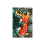 Fantail I Print // Alicia Ludwig