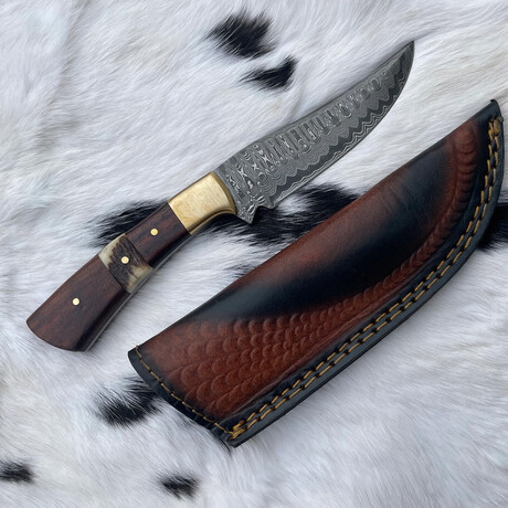 Custom Handmade Forged Damascus Steel Hunting Knife Blade With Black Walnut And Stag Horn Scales // 058