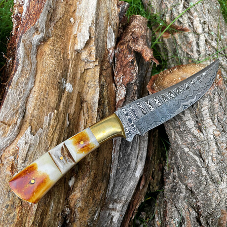 Damascus Steel Knife With  Burnt Bone & Stag Horn Full Tang // 015