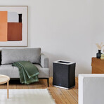 Roger Big Air Purifier