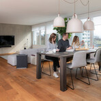 Roger Big Air Purifier