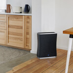 Roger Air Purifier