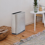 Roger Little Air Purifier