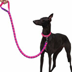 Iconic Color-Block Dog Collar + Leash Set // Cerise + Dark Purple (Collar 13-16.5" Neck)