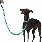 Iconic Color-Block Dog Collar + Leash Set // Sky Blue + Dark Green (Collar 13-16.5" Neck)