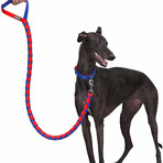 Iconic Color-Block Dog Collar + Leash Set // Navy Blue + Red (Collar 13-16.5" Neck)