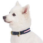 Full Grain Leather & Polyester Adjustable Dog Collar // Navy White + Red (3/4" Wide * (12"-15") Neck)