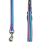 3M Reflective Multi-colored Stripe Dog Collar + Leash Set // Violet + Celeste (Small)