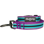 3M Reflective Multi-colored Stripe Dog Collar + Leash Set // Violet + Celeste (Small)
