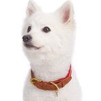 Full Grain Leather & Polyester Adjustable Dog Collar // Red + White (3/4" Wide * (12"-15") Neck)