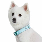 Iconic Color-Block Dog Collar + Leash Set // Sky Blue + Dark Green (Collar 13-16.5" Neck)