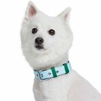 Iconic Color-Block Dog Collar + Leash Set // Sky Blue + Dark Green (Collar 13-16.5" Neck)