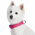 Iconic Color-Block Dog Collar + Leash Set // Cerise + Dark Purple (Collar 13-16.5" Neck)