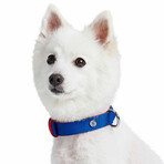 Iconic Color-Block Dog Collar + Leash Set // Navy Blue + Red (Collar 13-16.5" Neck)
