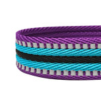 3M Reflective Multi-colored Stripe Dog Collar + Leash Set // Violet + Celeste (Small)