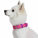 Iconic Color-Block Dog Collar + Leash Set // Cerise + Dark Purple (Collar 13-16.5" Neck)