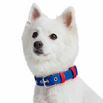 Iconic Color-Block Dog Collar + Leash Set // Navy Blue + Red (Collar 13-16.5" Neck)