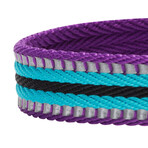 3M Reflective Multi-colored Stripe Dog Collar + Leash Set // Violet + Celeste (Small)