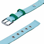 Iconic Color-Block Dog Collar + Leash Set // Sky Blue + Dark Green (Collar 13-16.5" Neck)