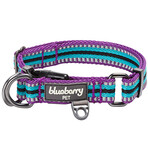 3M Reflective Multi-colored Stripe Dog Collar + Leash Set // Violet + Celeste (Small)