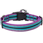3M Reflective Multi-colored Stripe Dog Collar + Leash Set // Violet + Celeste (Small)