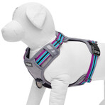 3M Reflective Multi-colored Stripe No-pull Dog Harness // Violet + Celeste (Small)