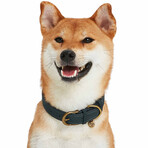 Full Grain Leather Adjustable Dog Collar // Navy Blue (1" Wide * (15"-18") Neck)