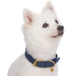 Full Grain Leather & Polyester Adjustable Dog Collar // Navy White + Red (3/4" Wide * (12"-15") Neck)