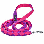 Iconic Color-Block Dog Collar + Leash Set // Cerise + Dark Purple (Collar 13-16.5" Neck)