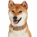 Full Grain Leather Adjustable Dog Collar // Beige (3/4" Wide * (12"-15") Neck)