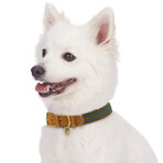 Full Grain Leather & Polyester Adjustable Dog Collar // Navy + Olive (3/4" Wide * (12"-15") Neck)