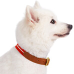 Full Grain Leather & Polyester Adjustable Dog Collar // Red + White (3/4" Wide * (12"-15") Neck)