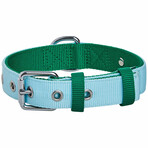Iconic Color-Block Dog Collar + Leash Set // Sky Blue + Dark Green (Collar 13-16.5" Neck)