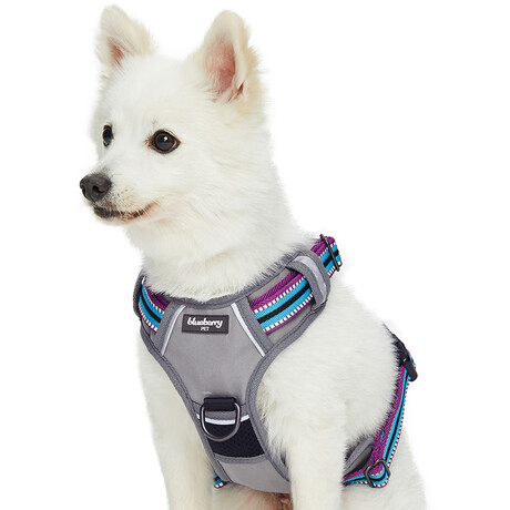3M Reflective Multi-colored Stripe No-pull Dog Harness // Violet + Celeste (Small)