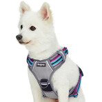 3M Reflective Multi-colored Stripe No-pull Dog Harness // Violet + Celeste (Small)
