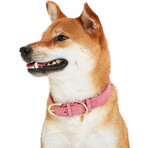 Full Grain Leather Adjustable Dog Collar // Pink (3/4" Wide * (12"-15") Neck)