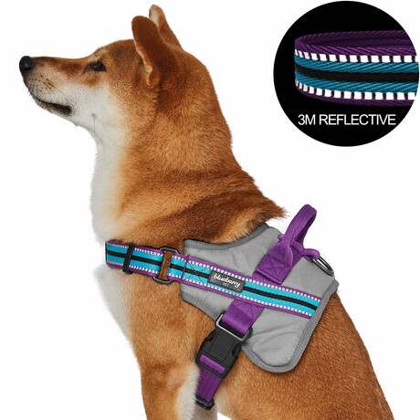3M Reflective Multi-colored Stripe Service Dog Harness // Violet + Celeste (Medium)