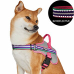 3M Reflective Multi-colored Stripe Service Dog Harness // Pink, Emerald + Orchid (Medium)