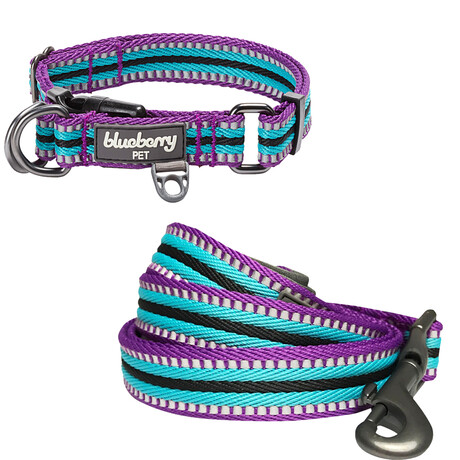 3M Reflective Multi-colored Stripe Dog Collar + Leash Set // Violet + Celeste (Small)