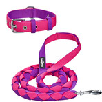 Iconic Color-Block Dog Collar + Leash Set // Cerise + Dark Purple (Collar 13-16.5" Neck)