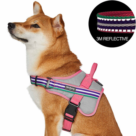 3M Reflective Multi-colored Stripe Service Dog Harness // Pink, Emerald + Orchid (Medium)