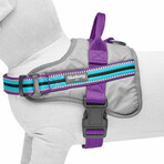 3M Reflective Multi-colored Stripe Service Dog Harness // Violet + Celeste (Medium)