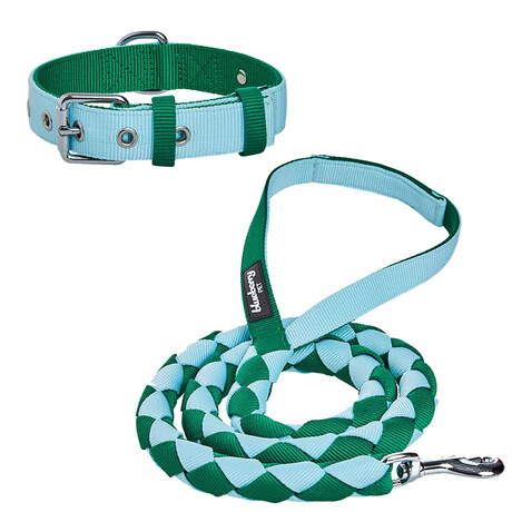 Iconic Color-Block Dog Collar + Leash Set // Sky Blue + Dark Green (Collar 13-16.5" Neck)