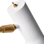 Penelope Task Lamp // Brass + White