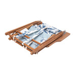 Elodie Beach Backpack Chair