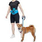 Bumbag Waist Bag Fanny Pack  (Blue)