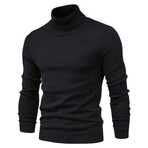 Turtleneck Sweater // Black (L)