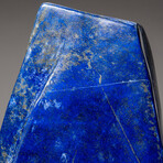Genuine Polished Lapis Lazuli Freeform // 9.5 lb