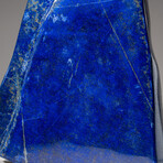 Genuine Polished Lapis Lazuli Freeform // 9.5 lb